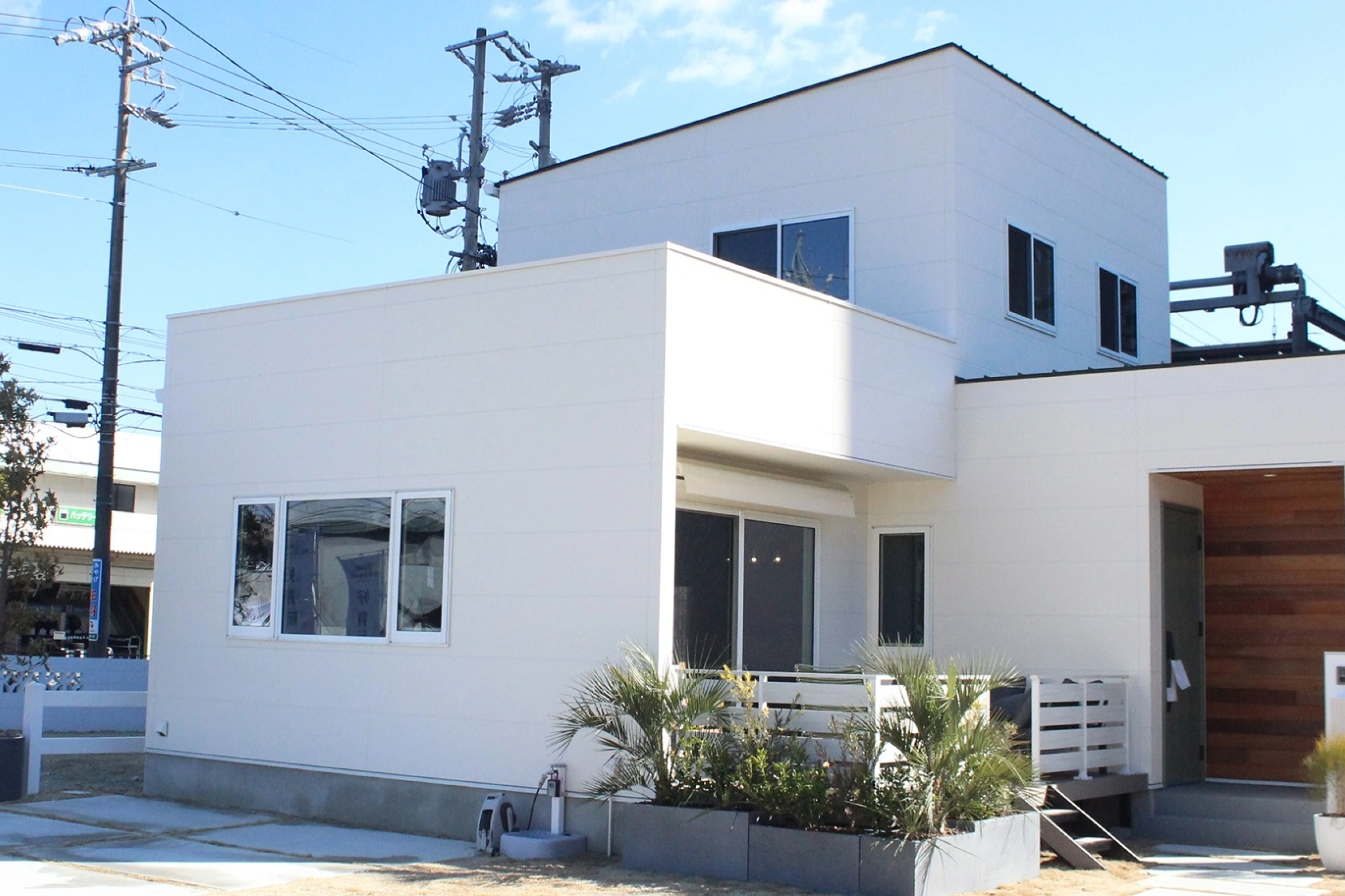 2号地