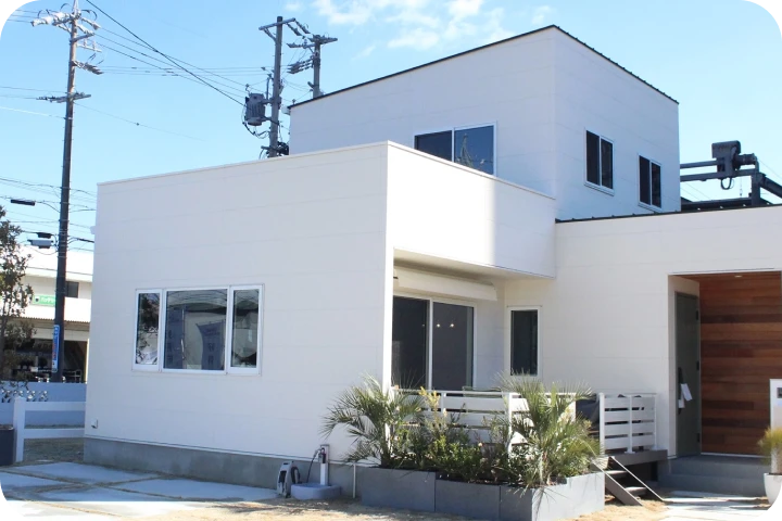 2号地