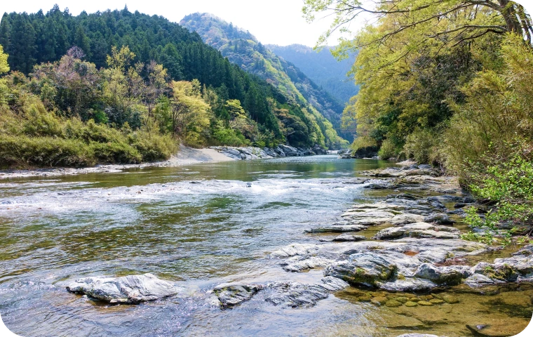 暖かい気候と豊かな自然に 恵まれた三重県松阪市